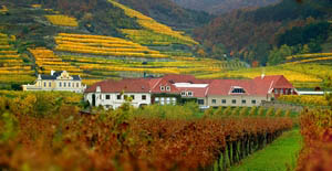 Domäne Wachau 瓦皓莊園 Domäne Wachau 瓦皓莊園